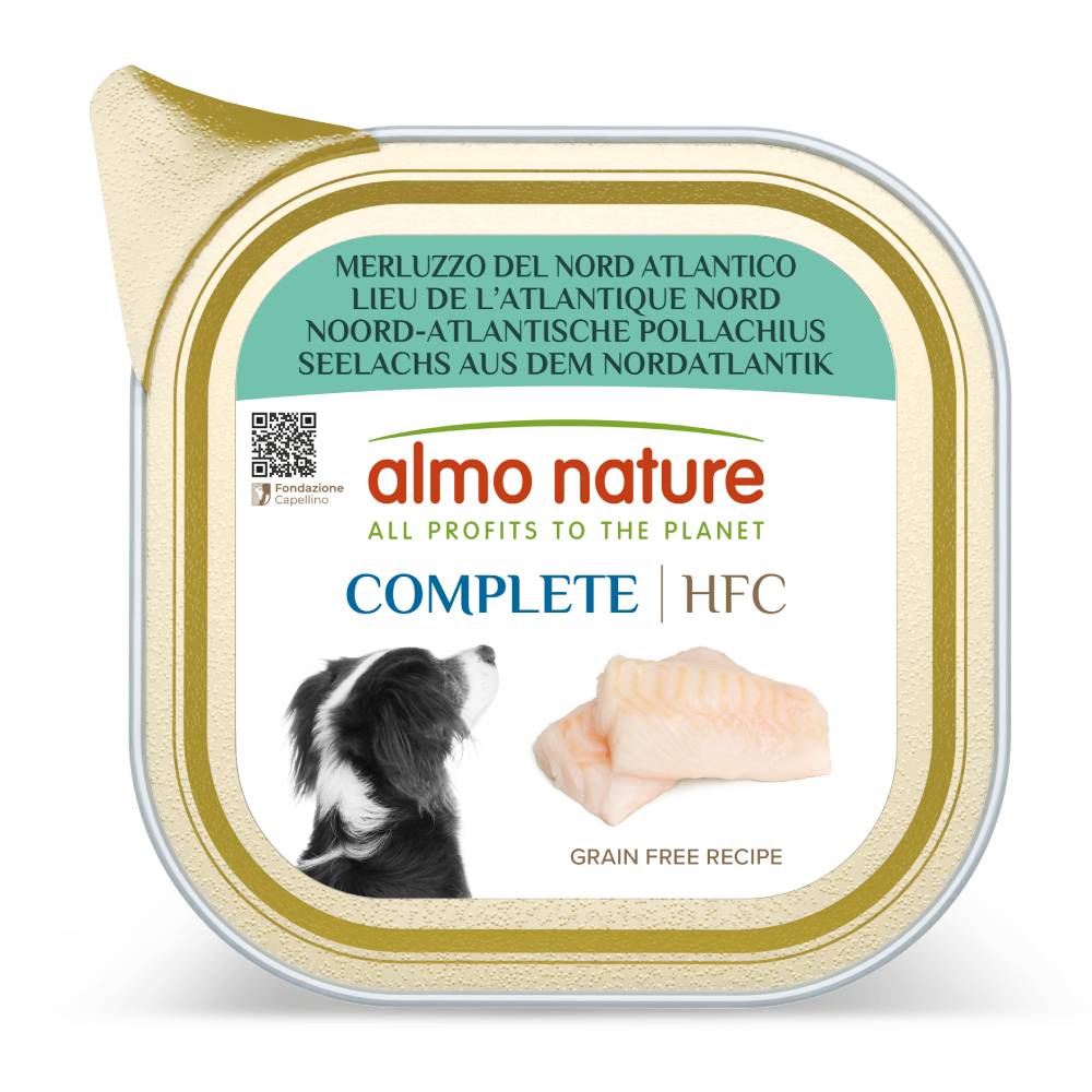 Natvoeding voor de kat, een smakelijke delicatesse voor uw kat Natvoeding voor de kat, een smakelijke delicatesse voor uw kat