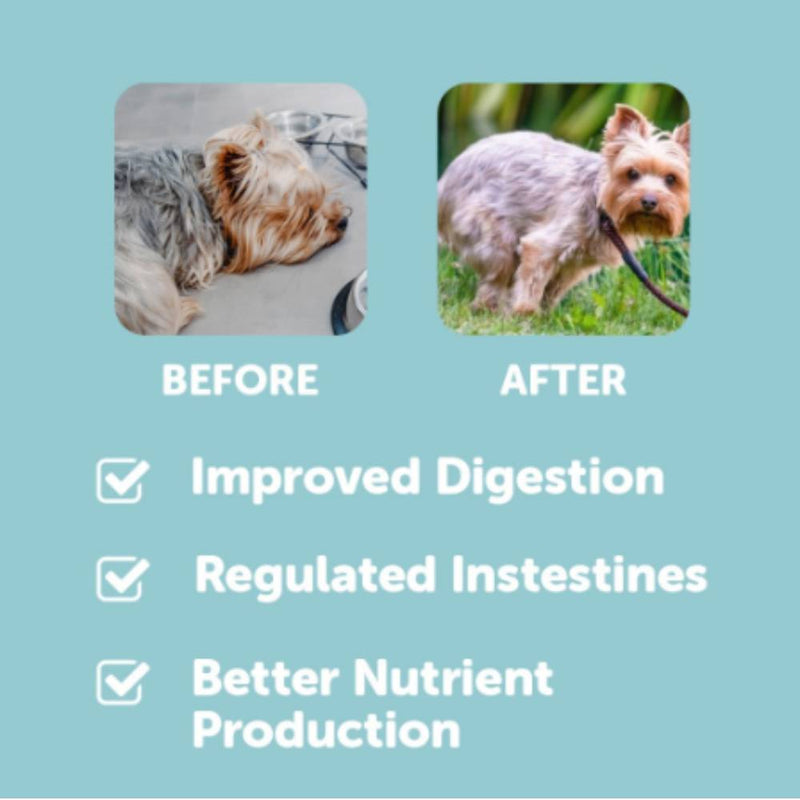 Dr. Shiba Dog Treats Supplement Happy Tummy Duck 250g