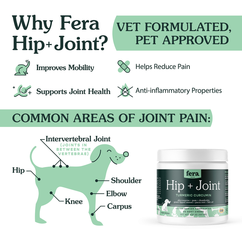 Fera Pet Organics Dog Hip + Joint Turmeric Curcumin 11.9oz