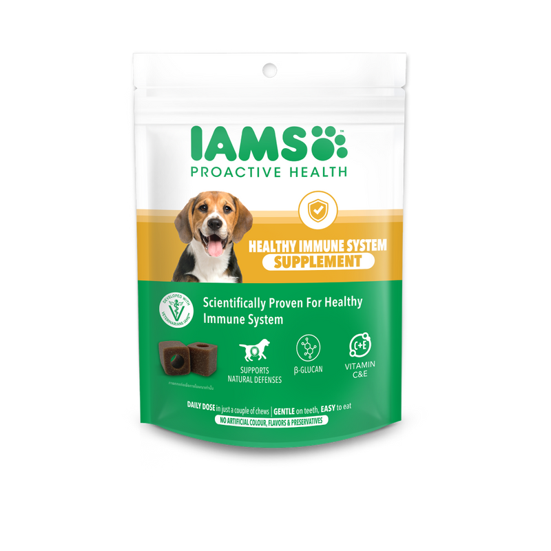 IAMS Dog Proactive Health Healthy Immune System Supplement 168g