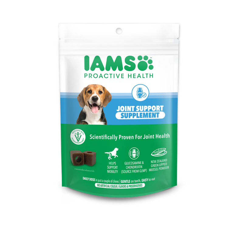 IAMS Dog Proactive Health Joint Support Supplement 168g