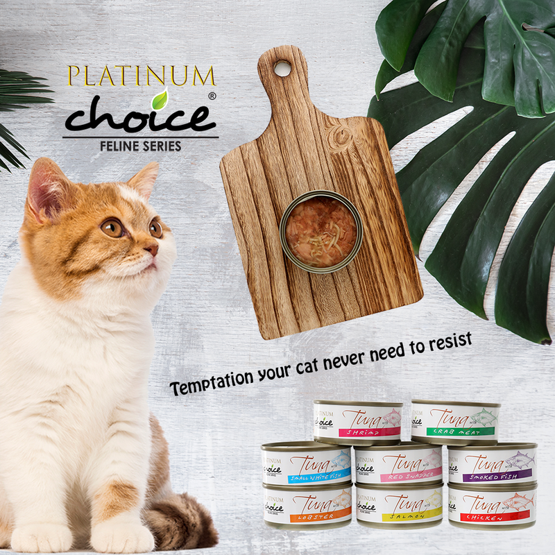 Platinum Choice Feline Tuna With Salmon 80g