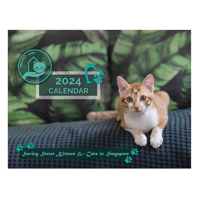 Project Luni Kitten Calendar 2024