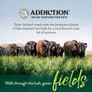 Addiction Dog Beef Meaty Bites 113g