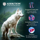 Addiction Dog Raw Alternative Homestyle Venison & Cranberry Dinner 2lb