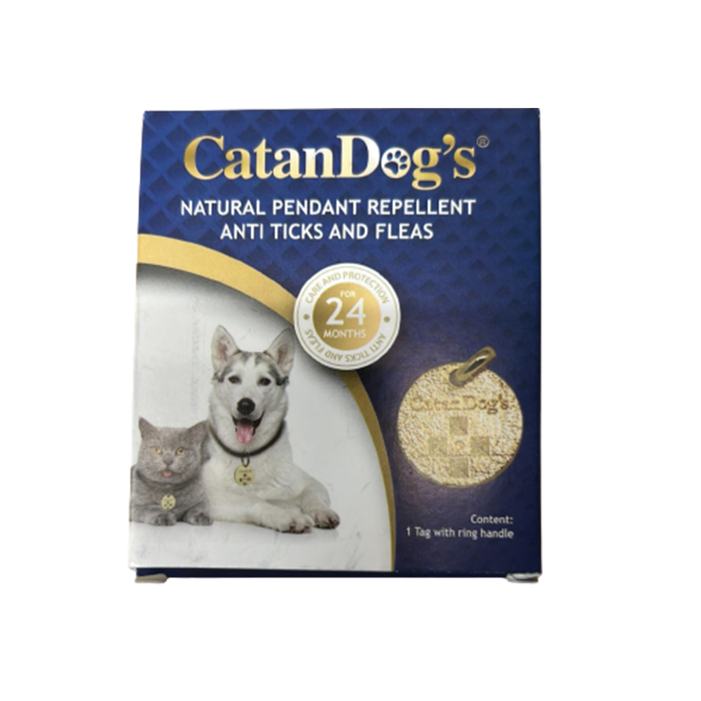 Doodlebug Guardian Angel Basset Hound Rescue CatanDog's Anti