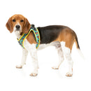 Fuzzyard Dog Step In Harness Gor-illz XS