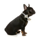 Fuzzyard Pet Bowtie Bananarama S