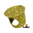 Rodipet Enterrado Burrow