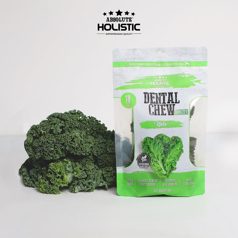 Absolute Holistic Dog Boost Dental Chew Kale 160g
