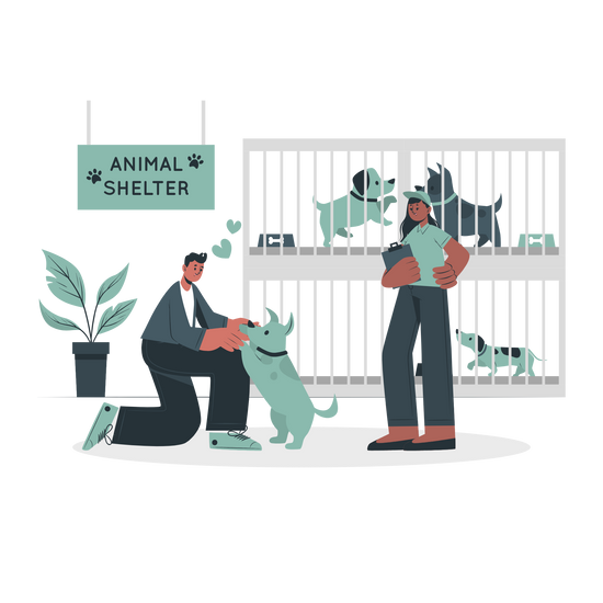 Kong Cruncheez Flyer PFC1