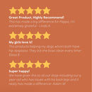 Australian Pet Organics Dog Hip And Joint Powder Supplement 240g