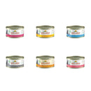 *DONATION TO MCDS* Almo Nature Cat HFC 70g x 24cans (Assorted)
