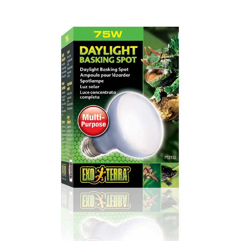 Exo Terra Daylight Basking Spot 75W