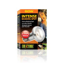 Exo Terra Intense Basking Spot 50W