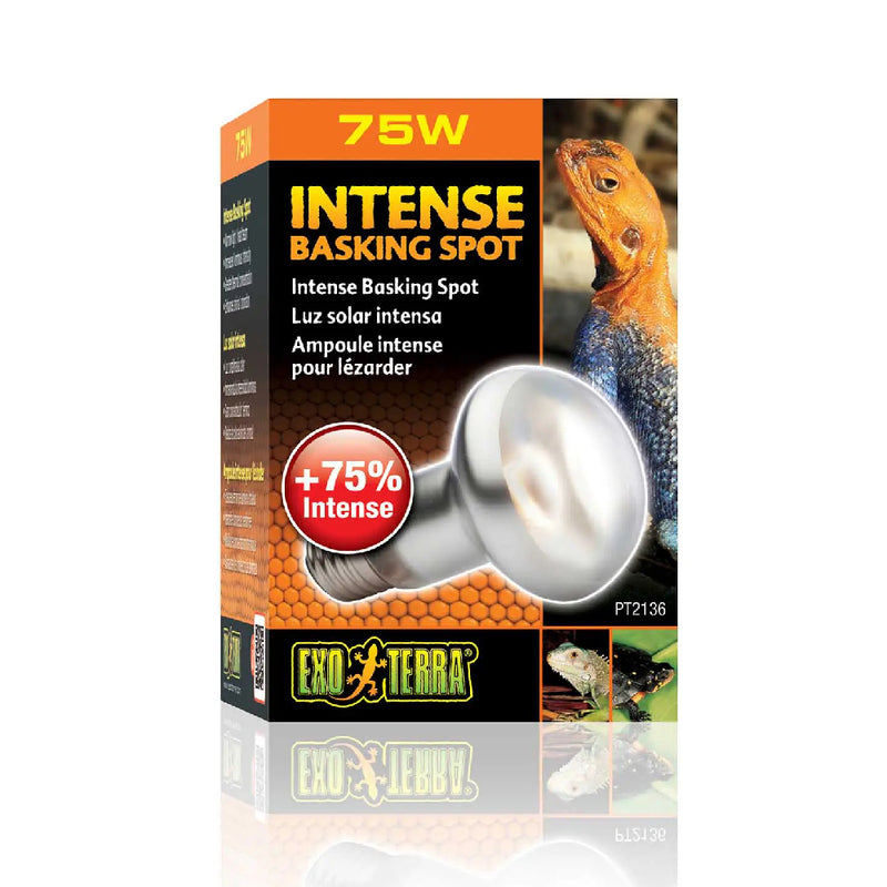 Exo Terra Intense Basking Spot 75W