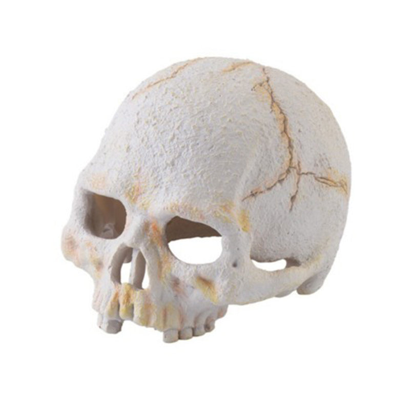 Exo Terra Primate Skull S (PT2926)