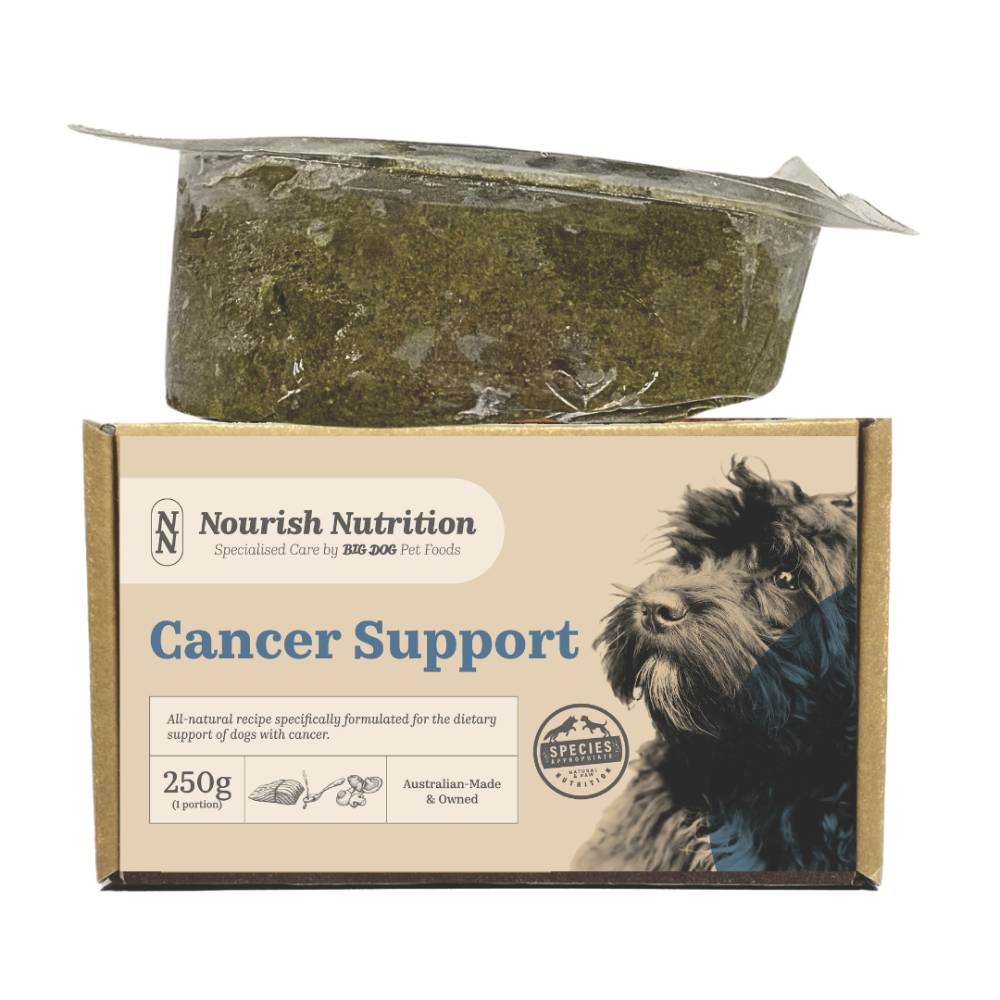Curated visual reference: Wholistic Canine Nutrition For Cancer Recovery Reference: Frozen Big Dog Canine Nourish Nutrition Cancer Support 250G