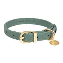 FuzzYard Dog Collar Life Atelier Myrtle Green S 28-40cm