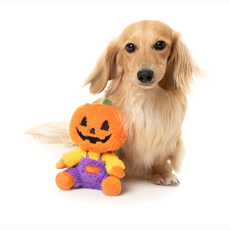 Fuzzyard Dog Plush Toy Halloween - Jack-O Chan S