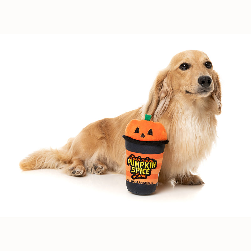 Fuzzyard Dog Plush Toy Halloween - Peek-A-Boo Pumpkin Spice Latte