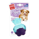 GiGwi Teething Dog Toy Suppa Puppa Bear with Squeaker