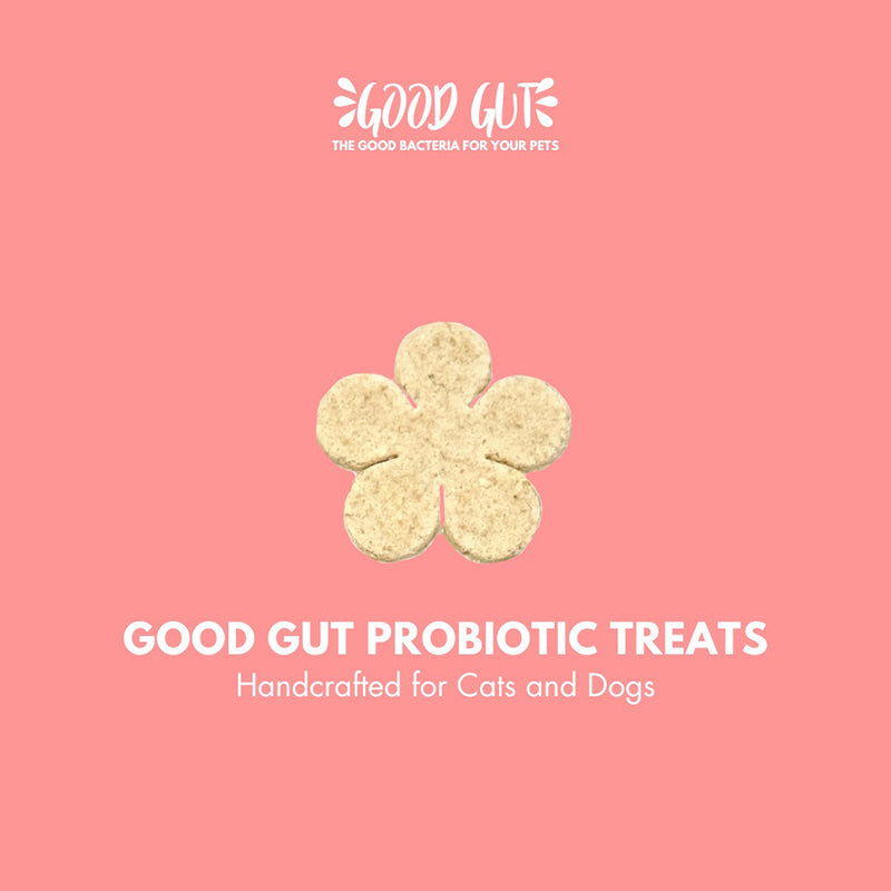 Good Gut Probiotic Treats 100g