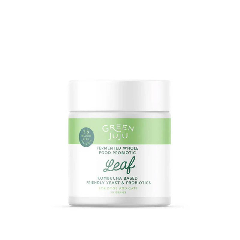 Green Juju Leaf Fermented Kombucha-Based Probiotic 30g