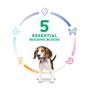 Hill's Science Diet Puppy Lamb & Rice 4lb