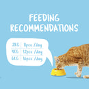 KitCat Cat Purrfect Pockets Dental Care 60g