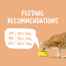 KitCat Cat Purrfect Pockets Salmon 60g