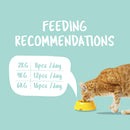 KitCat Cat Purrfect Pockets Skin & Coat Care 60g