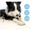 Korean Pet Food Dog Premium Dental Caries Gum 80g