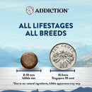 Addiction Cat Wild Kangaroo Feast 4lb