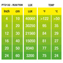 Exo Terra Daylight Basking Spot 75W