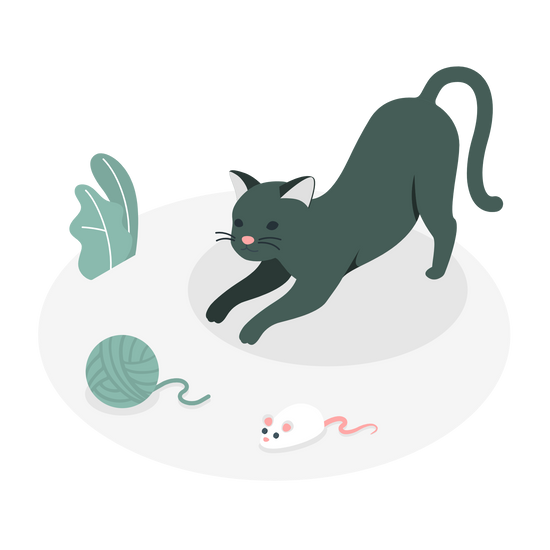 Stimulo 2024 cat feeder