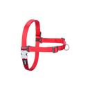 Red Dingo Dog No-Pull Harness - Red S