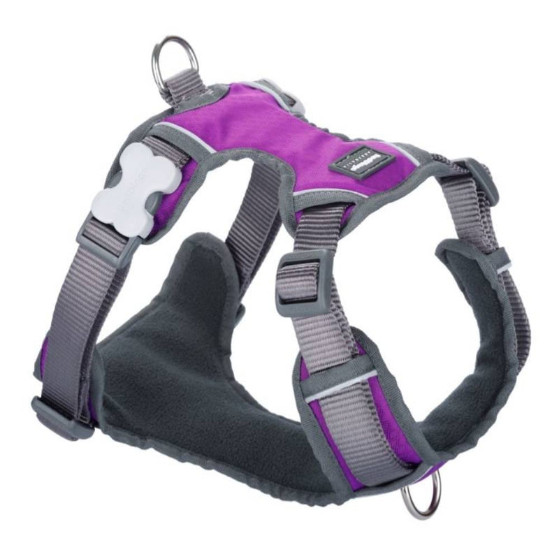 Red Dingo Padded Harness Purple S