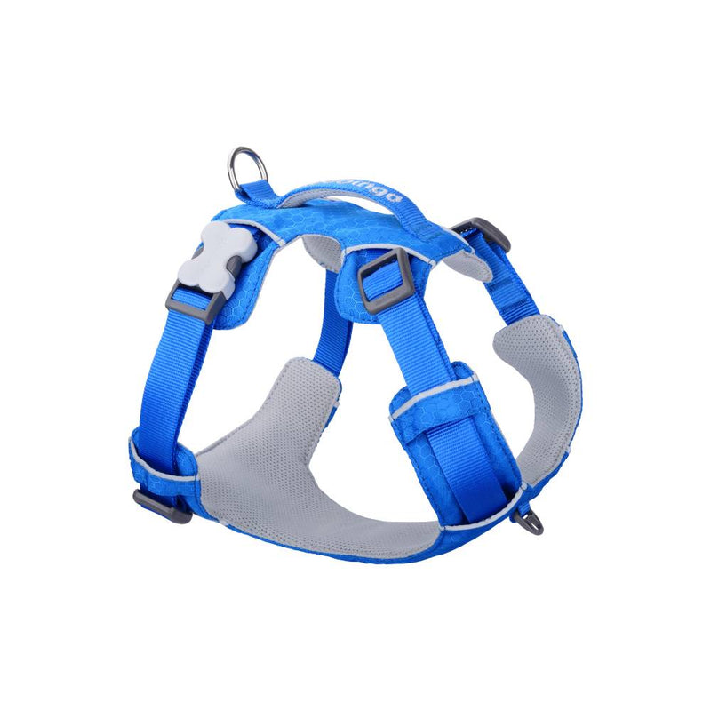 Red Dingo Sport Harness Electric Blue M