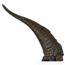 Scott & Dan's Goat Horn with Marrow XL