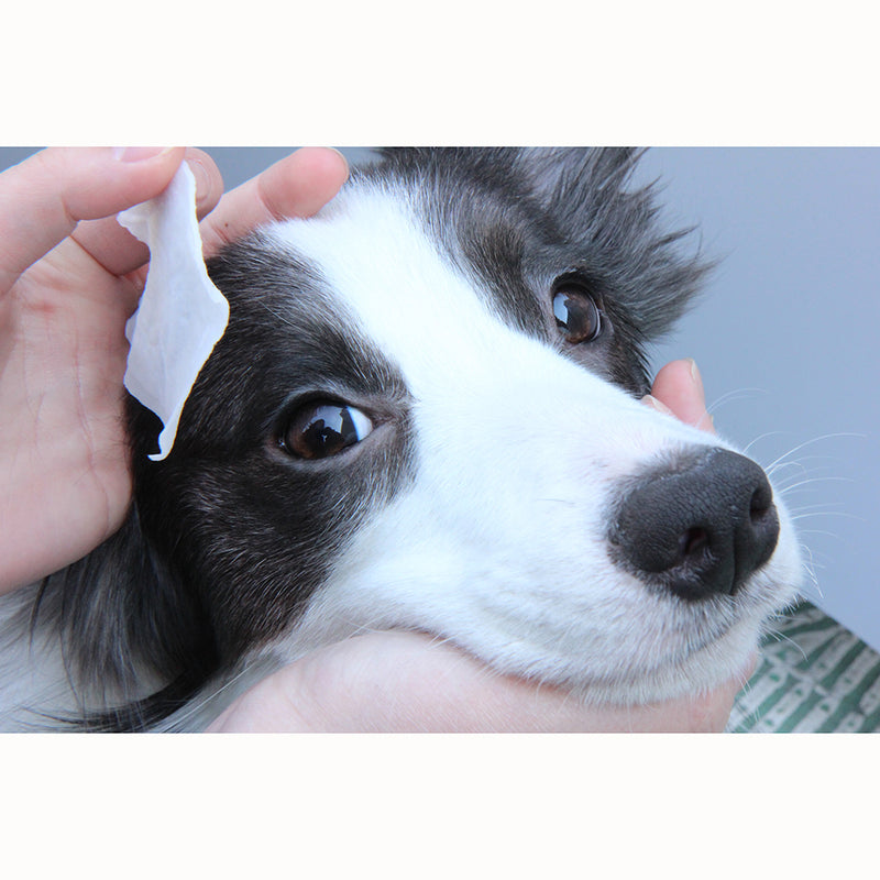 The Dog Eye Cleaning Pad