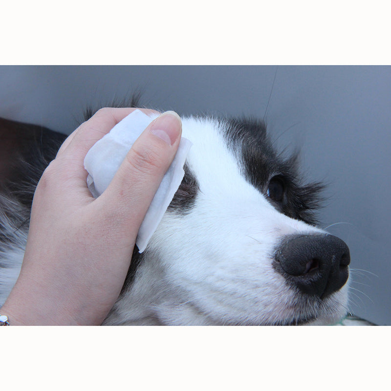 The Dog Eye Cleaning Pad