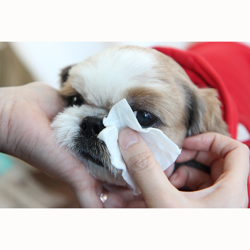 The Dog Eye Cleaning Pad