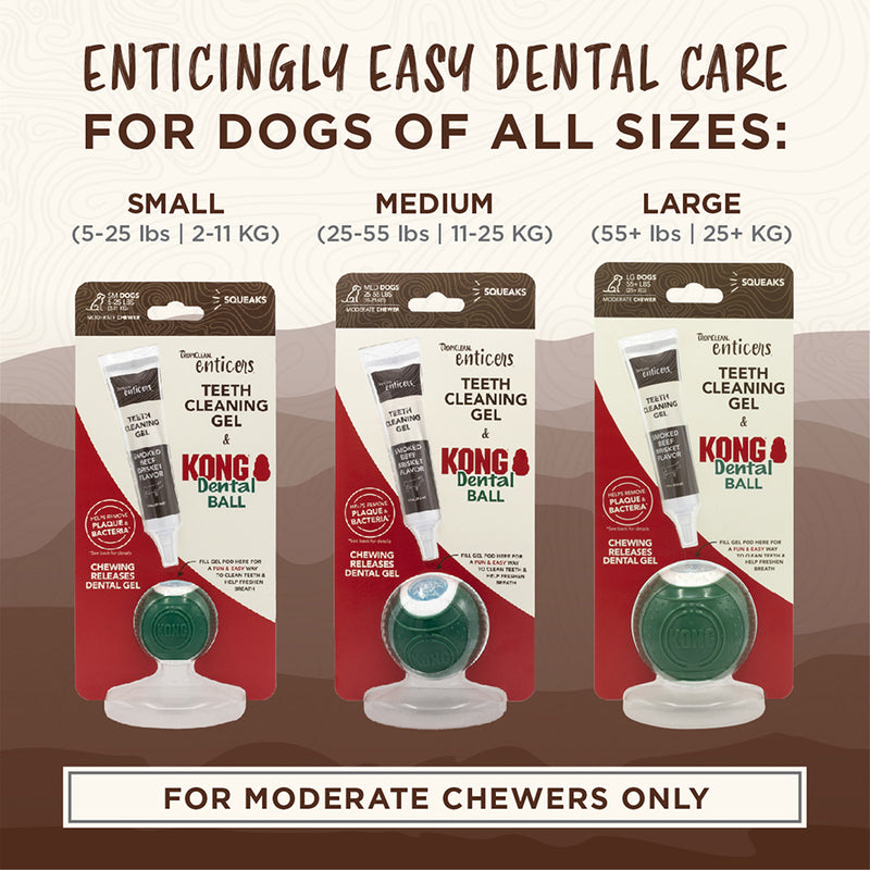 TropiClean Enticers Dental Ball Kit for Small Dogs - Smoked Beef Brisket Flavor 1oz