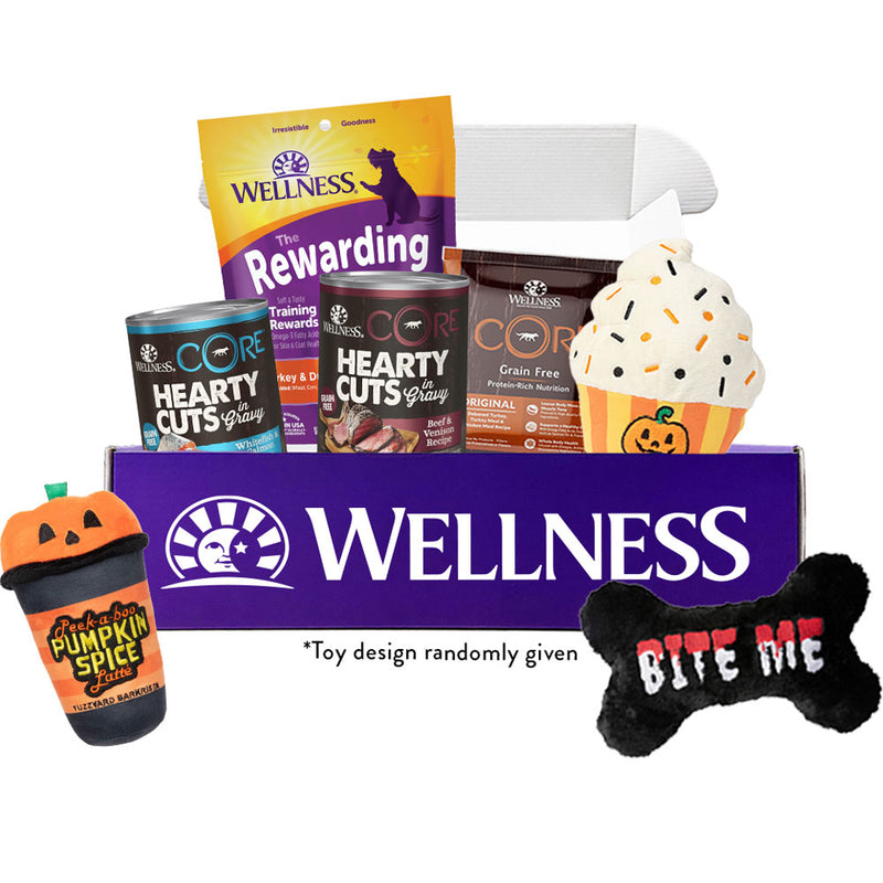 Wellness Halloween Fun Box
