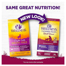 Wellness Dog Complete Health Grain Free Small Breed Deboned Turkey, Chicken & Salmon Meal Recipe 4lb