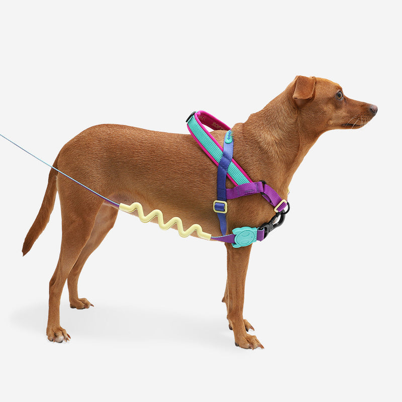 Zee.Dog Softerwalk Antipull Harness Shockwave M