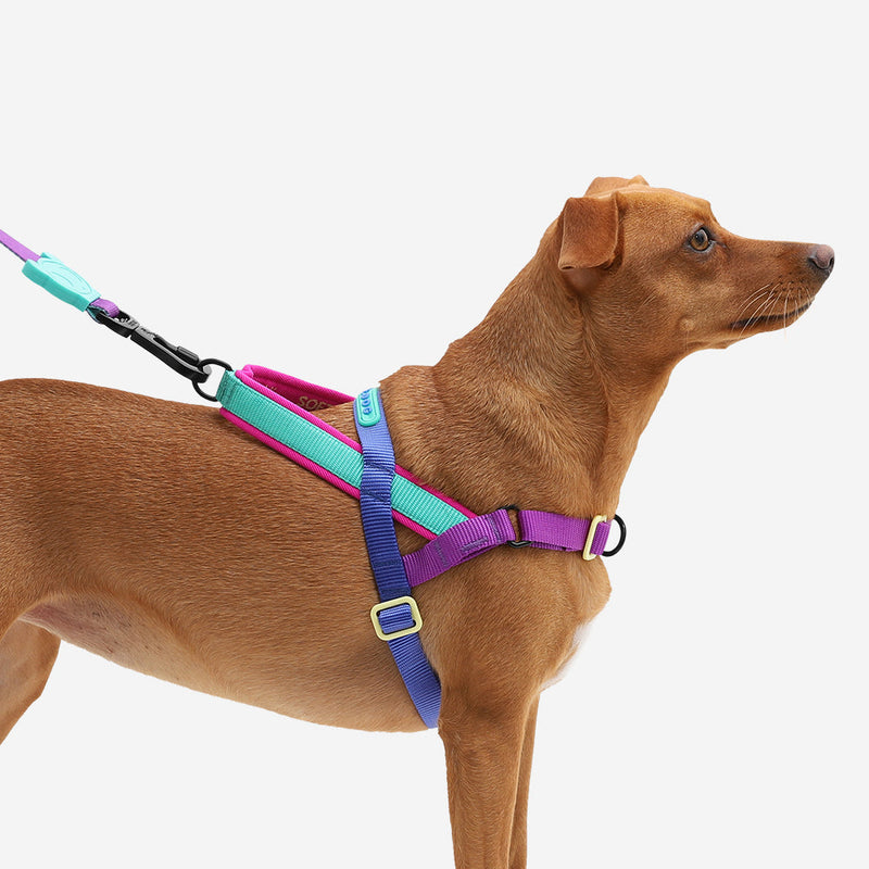 Zee.Dog Softerwalk Antipull Harness Shockwave M