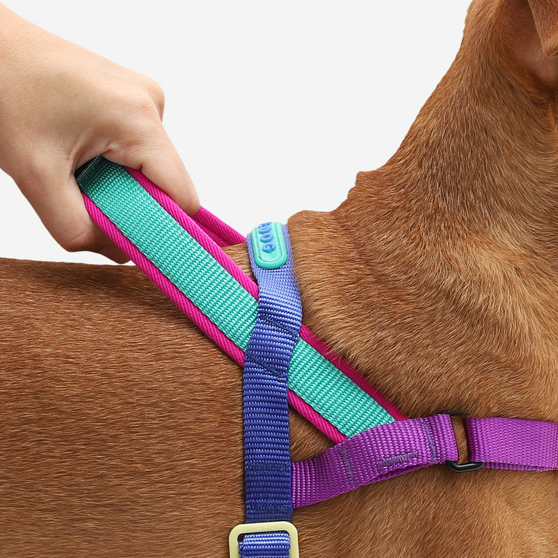 Zee.Dog Softerwalk Antipull Harness Shockwave M