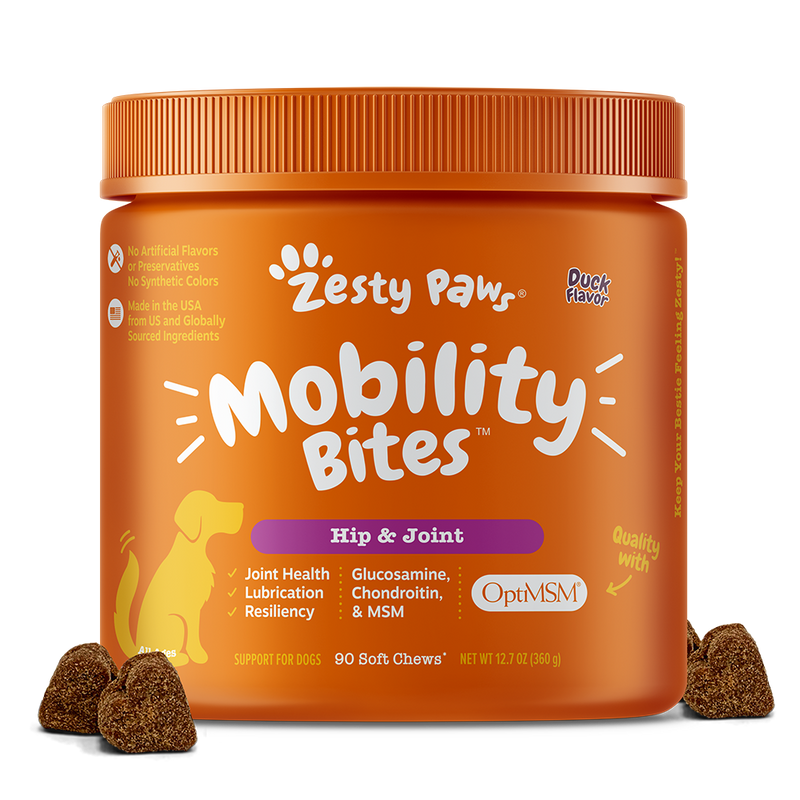 Paws and pals hip and joint chews best sale